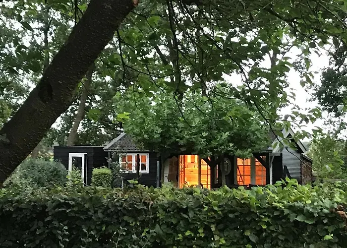 De Tunfugel