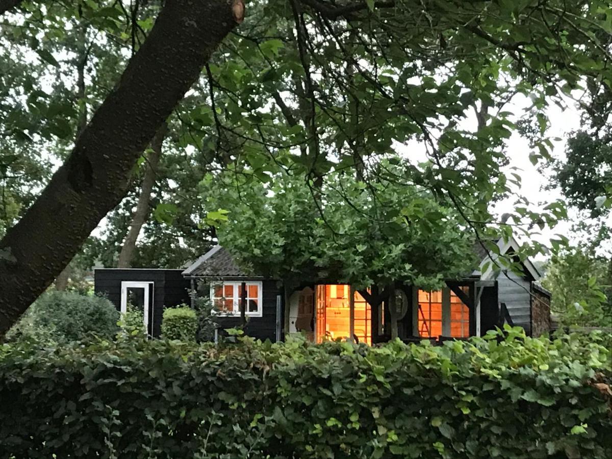 De Tunfugel Chalet Jonkersland